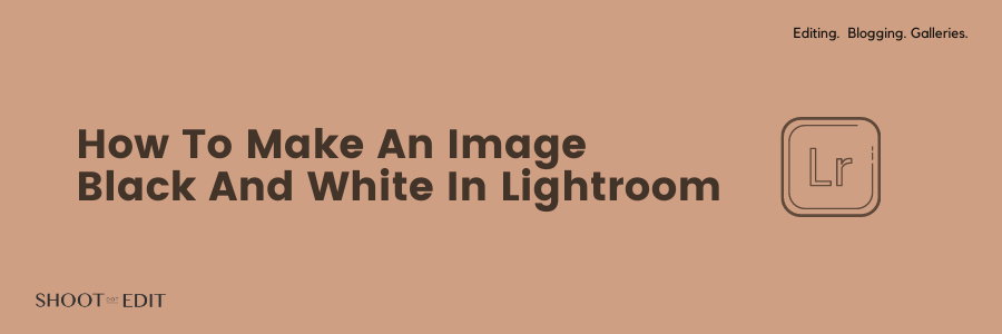 How to Make an Image Black and White in Lightroom ShootDotEdit