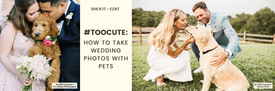 #TooCute: How To Take Wedding Photos With Pets