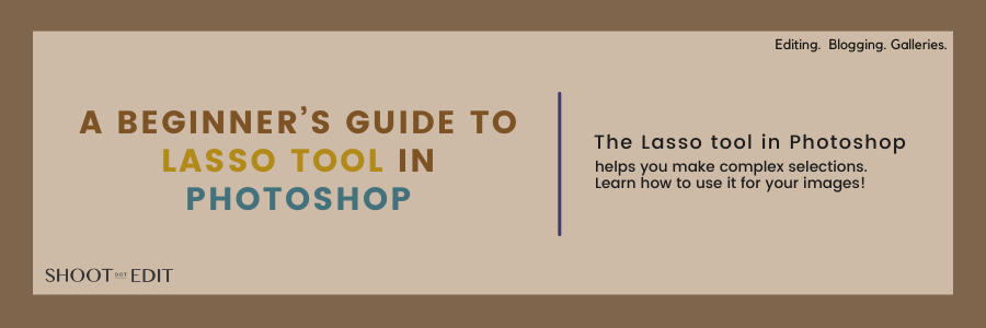 A Beginner’s Guide To Lasso Tool In Photoshop – ShootDotEdit
