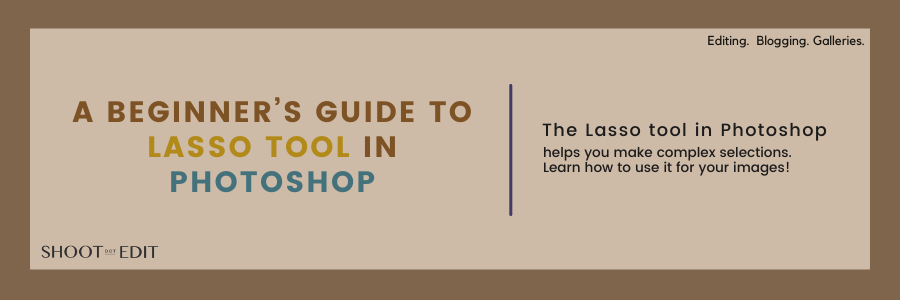A Beginner’s Guide To Lasso Tool In Photoshop