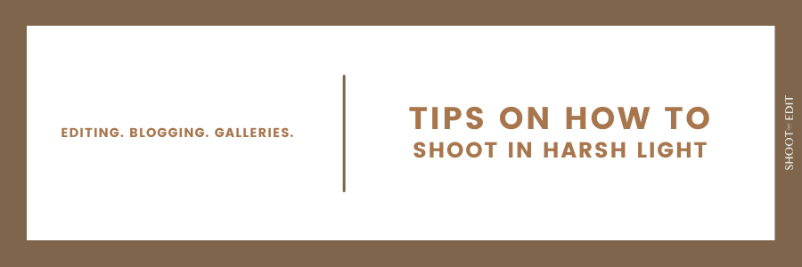 Tips On How To Shoot In Harsh Light