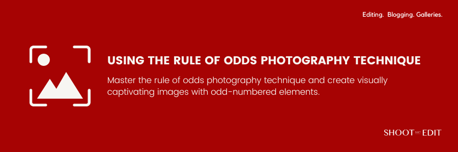 Mastering The Rule Of Odds Photography Technique